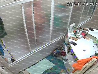 Webcam hacking Hackingcameras_8171