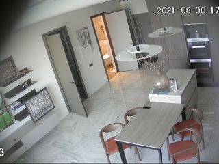 Hackingcameras_31408