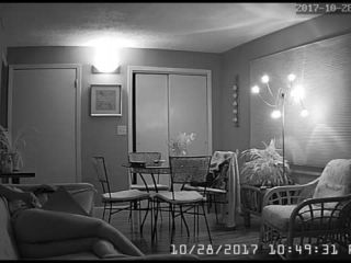 Webcam hacking Hackingcameras_946