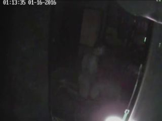 Webcam hacking Hackingcameras_547