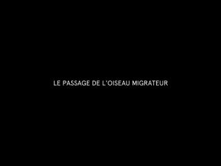 Nudeceleb- Margot Blondin – Le passage de l_oiseau migrateur (2016) HD 1080p