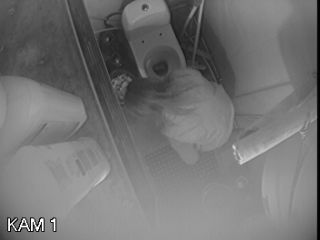 Webcam hacking Hackingcameras_689