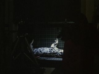 Preview 7