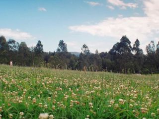 Nudeceleb- Arielle Cartwright – White Blood (2023) HD 1080p