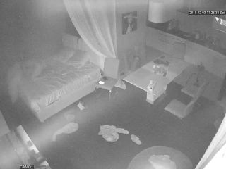 Webcam hacking Hackingcameras_538