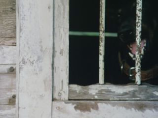 Preview 6