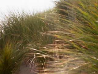 Nudeceleb- Thekla Reuten – Silent Fear (De reunie) (2015) HD 1080p