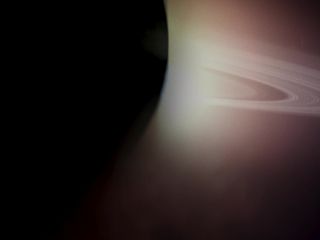 Nudeceleb- Jenya Chaplin, Sierra Goddard, Kay Coburn- Carrion (2020) HD 1080p