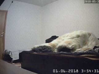 Webcam hacking Hackingcameras_2803