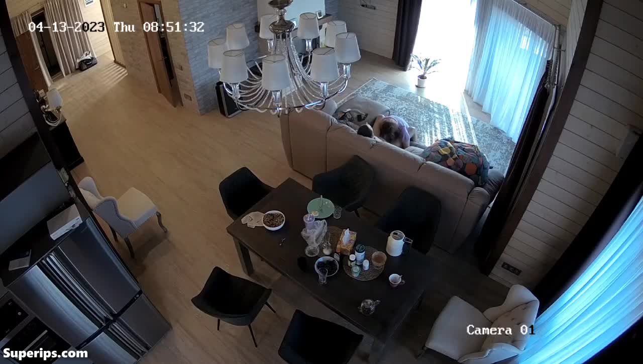 IPCAM – French married couples fuck in their living room