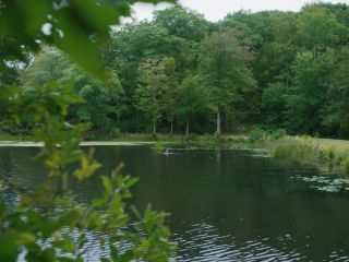 Nudeceleb- Josefine Christoffersen-Backstroke (2017) HD 1080p