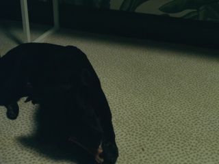 Nudeceleb- Alexia Rasmussen – Valeria (2016) HD 1080p