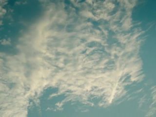 Nudeceleb- Lola Dockhorn-Polizeiruf 110 s45e01 (2016) HD 720p