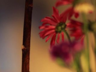 Nudeceleb- Arlene Chico-Lugo Dee Herlihy – What It Was (2014) HD 1080p