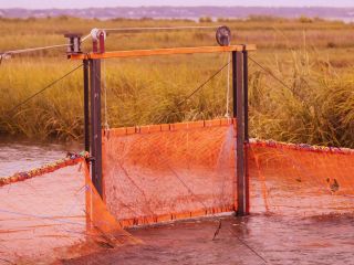 Nudeceleb- Emma Roberts – Space Cadet (2024) HD 1080p