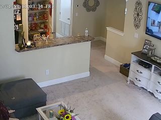 Webcam hacking Hackingcameras_552