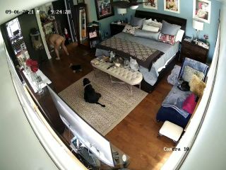 Webcam hacking Hackingcameras_2754