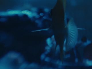 Nudeceleb- Natalia Jedrus – Sortownia s01e06 (2023) HD 1080p