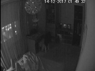 Webcam hacking Hackingcameras_8934