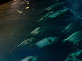 Nudeceleb- Marilyn Lima – Une sirene a Paris (2020) HD 1080p