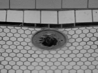 Nudeceleb- Lauren Ashley Carter-Darling (2015) HD 1080p