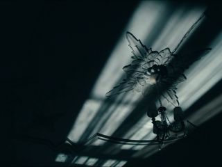 Nudeceleb- Paula Beer – Werk ohne Autor (2018) HD 1080p