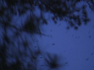 Nudeceleb- Odessa Young – And She Hisses (2019) HD 1080p