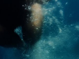 Preview 6
