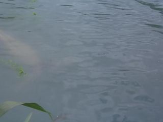 Nudeceleb- Kate Winslet Penelope Wilton-Iris (2001) HD 1080p