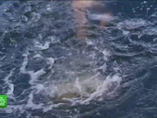 Nudeceleb- Polina Syrkina – Kadet (2009) HD 1080p