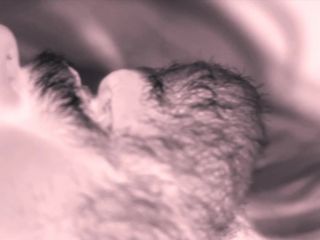 Nudeceleb- Deborah Francois-The Monk (2011) HD 1080p