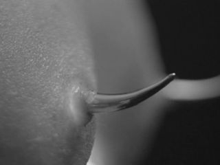 Nudeceleb- Nathalie Richard Christa Theret Agata Buzek Claire Duburcq – She Is Conann (Conann) (2023) HD 1080p