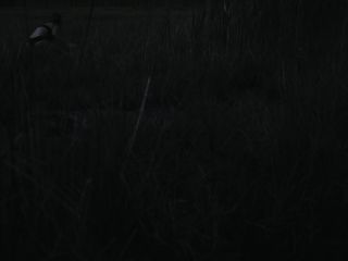 Nudeceleb- Lauren Francesca-Muck (2015) HD 1080p