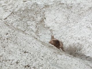 Nudeceleb- Lena Morris – A Thought Of Ecstasy (2017) HD 1080p