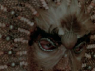 Nudeceleb- Rita Jenrette – Zombie Island Massacre (1984) HD 1080p