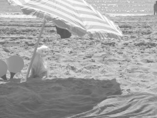 Nudeceleb- Inmaculada Moral Alicia Fernandez – El nudista (2015) HD 1080p