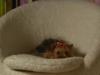 Nudeceleb- Lenka Stolarova – Vune kavy (2011) HD 720p