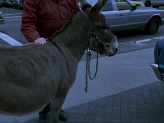 Nudeceleb- Carrie Flaska – Howard Stern_s Private Parts (1997) HD 1080p