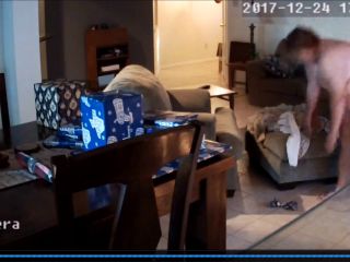 Webcam hacking Hackingcameras_4464