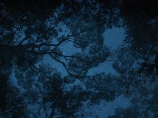 Nudeceleb- Monique Rockman – Gaia (2021) HD 1080p