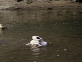 Nudeceleb- Angela Trimbur – The Kings of Summer (2013)  HD 1080p