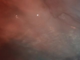 Nudeceleb- Ava Verne – A Thought Of Ecstasy (2017) HD 1080p