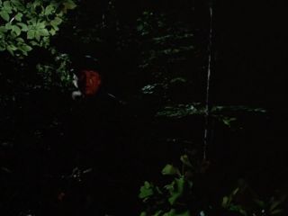 Preview 6