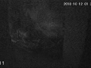 Hackingcameras_3462