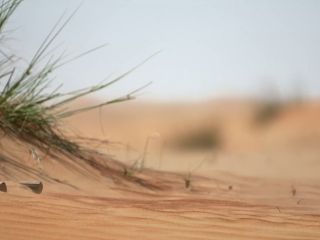 Nudeceleb- Victoria Bonya, Nadezhda Sysoeva, Oksana Samoylova, Lyaysan Utyasheva – Survive in Dubai (Vyzhit v Dubaye) s02e01 (2024) HD 1080p