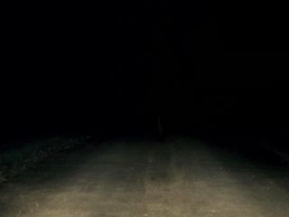 Nudeceleb- Vanessa Schreiber – Is This Real Life (2011) HD 720p