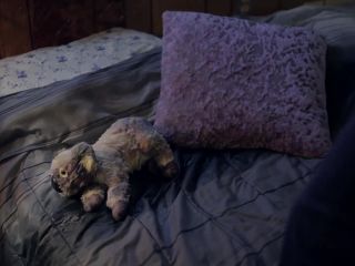 Nudeceleb- Jennie Russo, Janet Mayson – Night of Something Strange (2016) HD 1080p