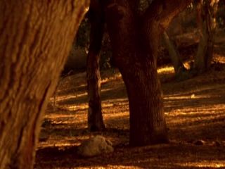 Nudeceleb- Michele Nordin – Red Velvet (2008) HD 720p