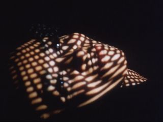Preview 6