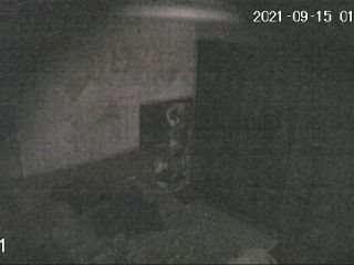 Hackingcameras_31658